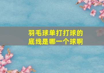 羽毛球单打打球的底线是哪一个球啊