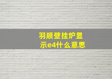 羽顺壁挂炉显示e4什么意思