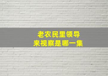 老农民里领导来视察是哪一集