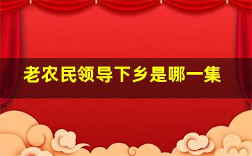 老农民领导下乡是哪一集