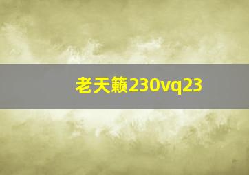 老天籁230vq23