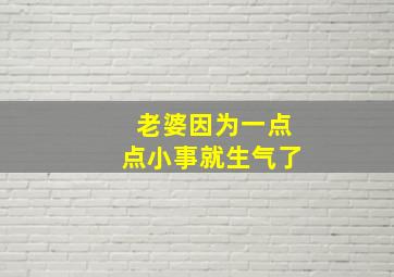 老婆因为一点点小事就生气了