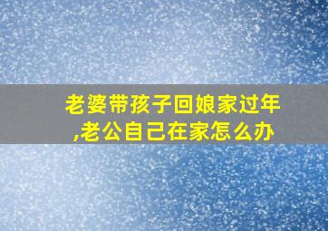 老婆带孩子回娘家过年,老公自己在家怎么办