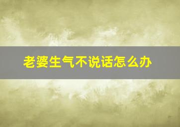 老婆生气不说话怎么办