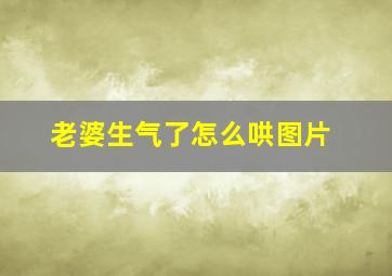 老婆生气了怎么哄图片