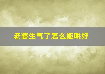 老婆生气了怎么能哄好