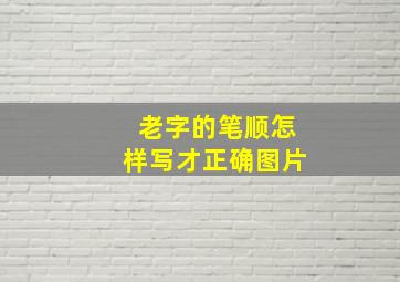 老字的笔顺怎样写才正确图片