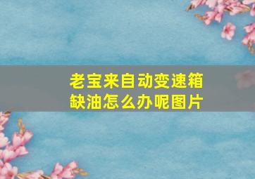 老宝来自动变速箱缺油怎么办呢图片