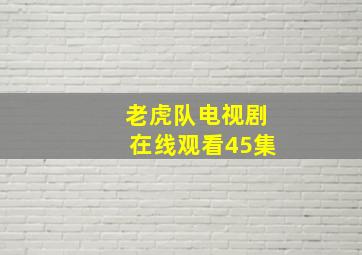 老虎队电视剧在线观看45集