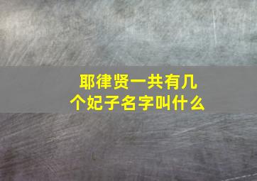 耶律贤一共有几个妃子名字叫什么