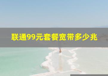 联通99元套餐宽带多少兆