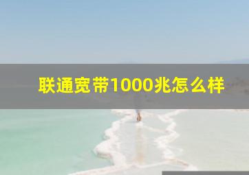 联通宽带1000兆怎么样