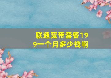 联通宽带套餐199一个月多少钱啊