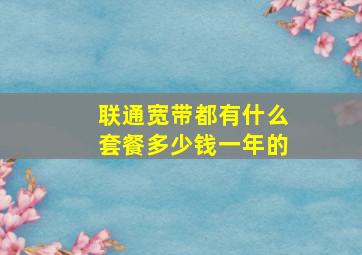 联通宽带都有什么套餐多少钱一年的