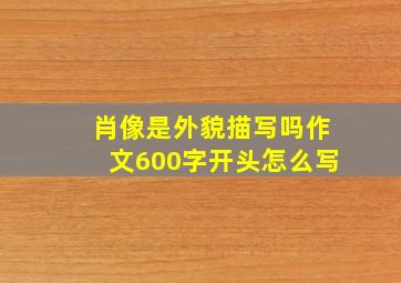 肖像是外貌描写吗作文600字开头怎么写