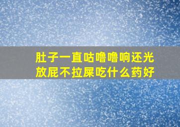 肚子一直咕噜噜响还光放屁不拉屎吃什么药好