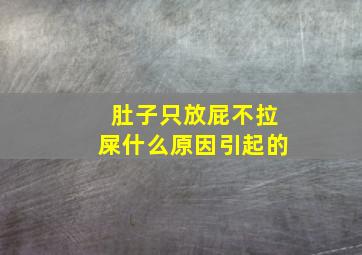 肚子只放屁不拉屎什么原因引起的