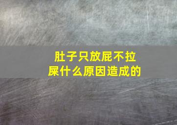 肚子只放屁不拉屎什么原因造成的