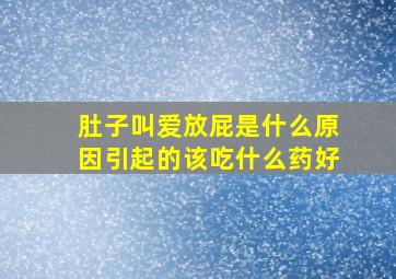 肚子叫爱放屁是什么原因引起的该吃什么药好