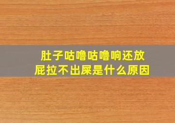 肚子咕噜咕噜响还放屁拉不出屎是什么原因