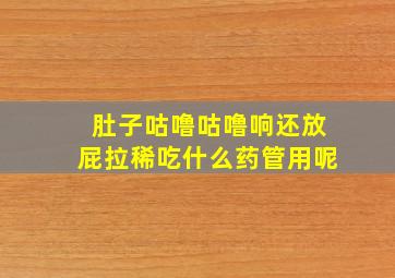 肚子咕噜咕噜响还放屁拉稀吃什么药管用呢