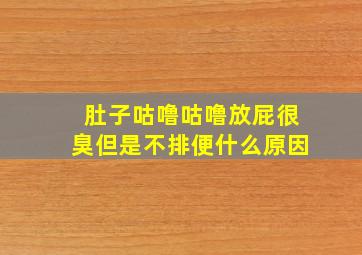 肚子咕噜咕噜放屁很臭但是不排便什么原因