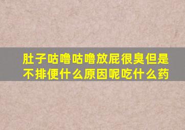 肚子咕噜咕噜放屁很臭但是不排便什么原因呢吃什么药