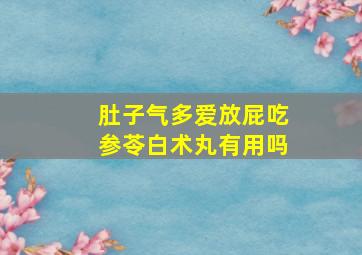 肚子气多爱放屁吃参苓白术丸有用吗