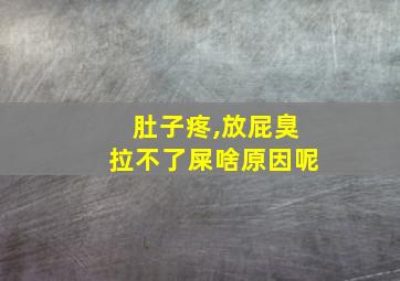 肚子疼,放屁臭拉不了屎啥原因呢