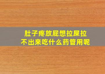 肚子疼放屁想拉屎拉不出来吃什么药管用呢