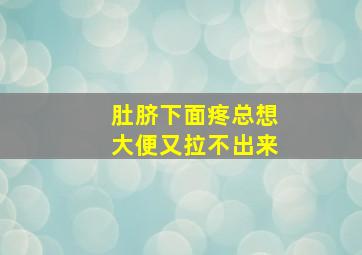 肚脐下面疼总想大便又拉不出来