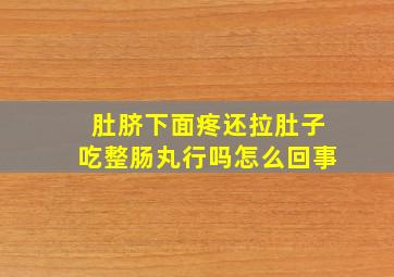 肚脐下面疼还拉肚子吃整肠丸行吗怎么回事