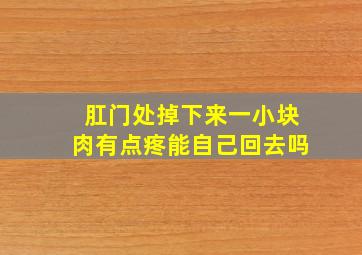 肛门处掉下来一小块肉有点疼能自己回去吗