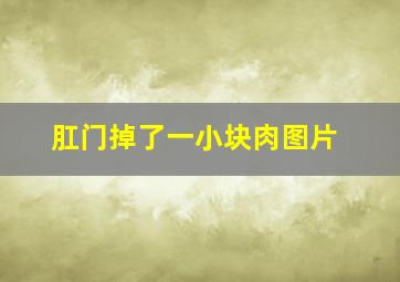 肛门掉了一小块肉图片