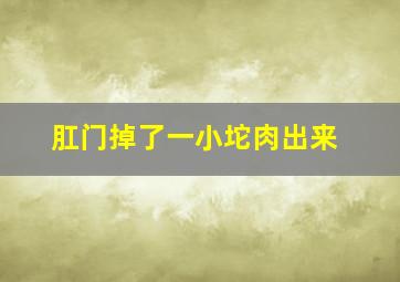 肛门掉了一小坨肉出来