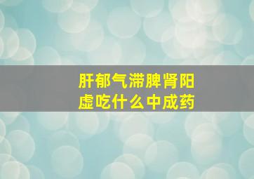 肝郁气滞脾肾阳虚吃什么中成药