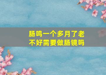 肠鸣一个多月了老不好需要做肠镜吗