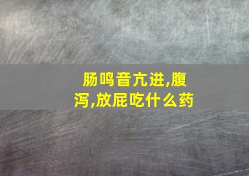 肠鸣音亢进,腹泻,放屁吃什么药