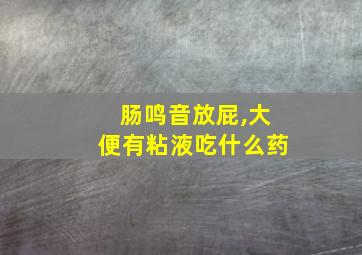 肠鸣音放屁,大便有粘液吃什么药