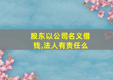 股东以公司名义借钱,法人有责任么