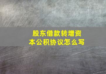 股东借款转增资本公积协议怎么写