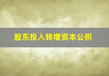 股东投入转增资本公积