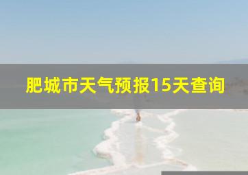 肥城市天气预报15天查询