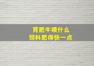 育肥牛喂什么饲料肥得快一点