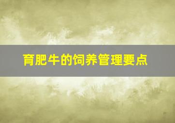 育肥牛的饲养管理要点