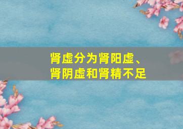 肾虚分为肾阳虚、肾阴虚和肾精不足