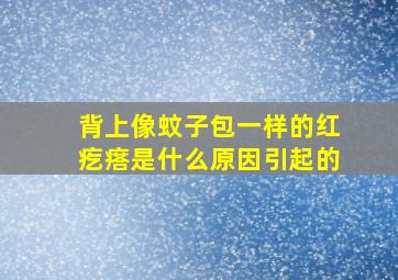 背上像蚊子包一样的红疙瘩是什么原因引起的