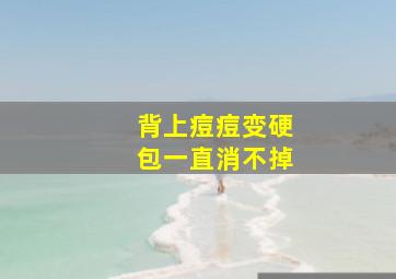 背上痘痘变硬包一直消不掉