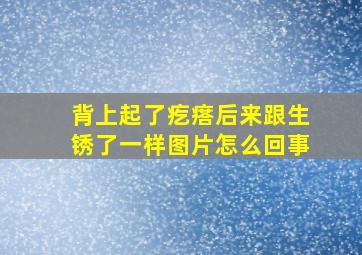 背上起了疙瘩后来跟生锈了一样图片怎么回事