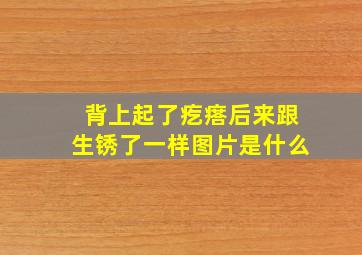 背上起了疙瘩后来跟生锈了一样图片是什么